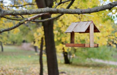 Ağaçta asılı olan ahşap kuş yemliği sonbahar ormanının arka planında