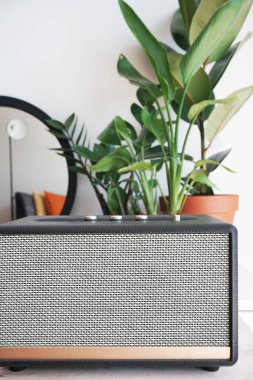 Ev bitkilerinin arka planında ve beyaz bir duvarda sıkıştırılmış müzik hoparlörü