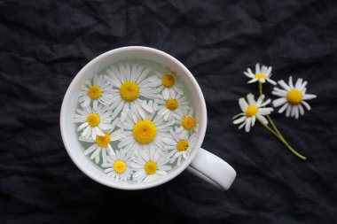 Koyu arkaplanda çay ve papatya çiçekleri olsun.