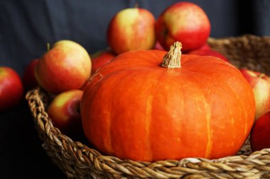Koyu arkaplanda olgun elmaların yanında turuncu balkabağı.