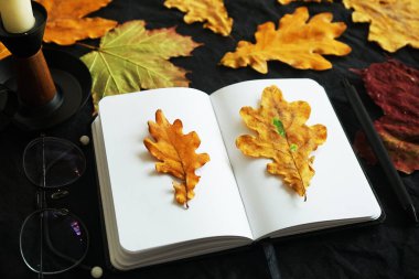 Koyu arkaplanda kalem, gözlük ve kuru yapraklarla not defterini aç