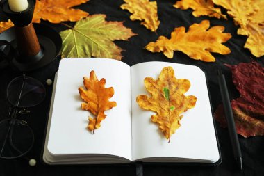 Koyu arkaplanda kalem, gözlük ve kuru yapraklarla not defterini aç