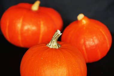 Turuncu balkabakları yan yana. Koyu bir arka plana yakın durun.