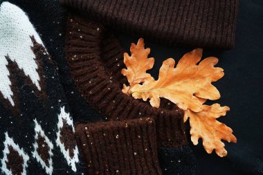 Şapka ve meşe yapraklarının yanında rahat bir kazak.