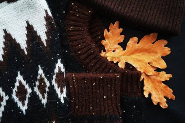 Şapka ve meşe yapraklarının yanında rahat bir kazak.