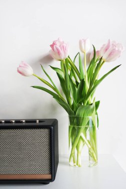 Beyaz arkaplanda müzik hoparlörünün yanında şeffaf vazoda taze pembe ve beyaz laleler.