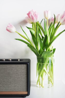 Beyaz arkaplanda müzik hoparlörünün yanında şeffaf vazoda taze pembe ve beyaz laleler.