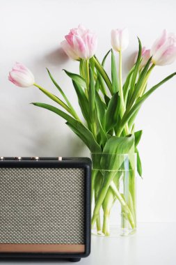 Beyaz arkaplanda müzik hoparlörünün yanında şeffaf vazoda taze pembe ve beyaz laleler.