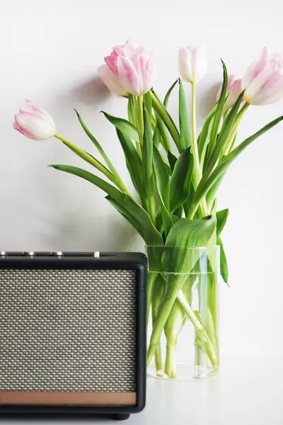 Beyaz arkaplanda müzik hoparlörünün yanında şeffaf vazoda taze pembe ve beyaz laleler.
