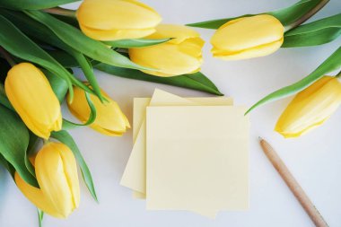 Sarı lalelerin yanında beyaz arka planda sarı çıkartmalar.