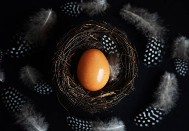 Koyu arkaplanda tüylerin yanındaki yuvada yumurta.