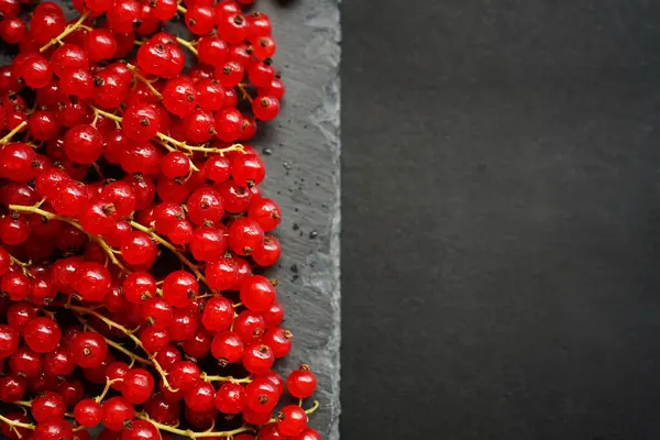 stock image Red currants on a black slate board on a dark background