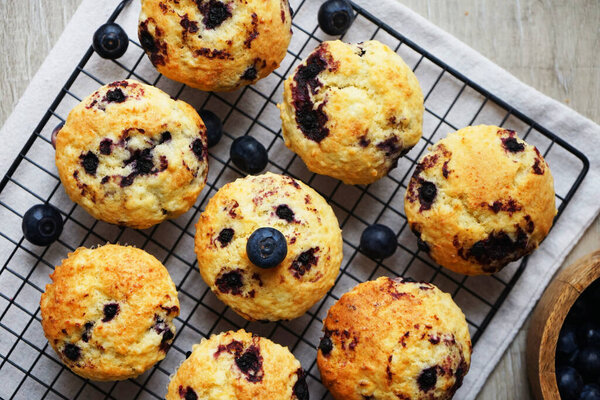 Vanilla cupcakes with blueberries on metal mesh tray and cotton towel on grey background