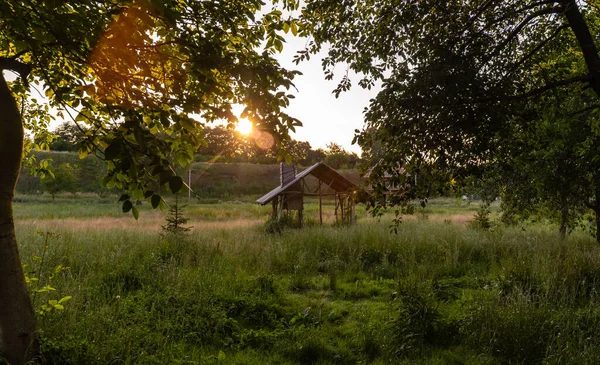 Ağaçların arasından gün batımı manzarası ahşap bir çardak manzaralı.
