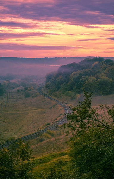 Ağacı ve dağı olan güzel bir manzara.