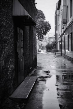 Yağmurdan sonra ıssız bir caddenin siyah beyaz fotoğrafı