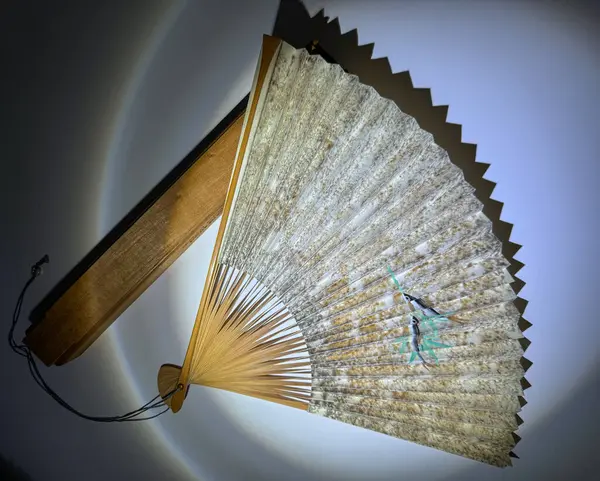 Kutulu klasik Japon hayranı.