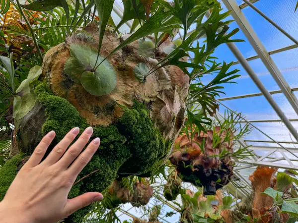 Çiçekli beyaz elbiseli kadın.