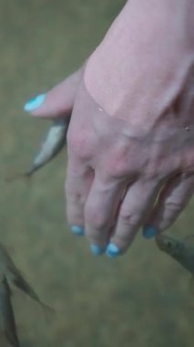 Akvaryumda balık soyarken.