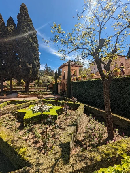 Magnifik Sommarträdgård Spanien — Stockfoto