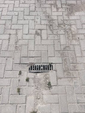 İçinde kaldırım taşları ve çimenler var. Üst Manzara. Yakın plan. Geçmişi. Doku. Su. Yüksek kalite fotoğraf