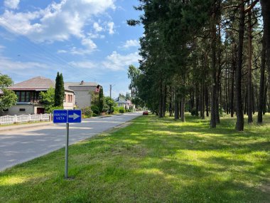 Kazlu Ruda 'da sigara içilecek bir yer, Litvanya ormanı. Yüksek kalite fotoğraf