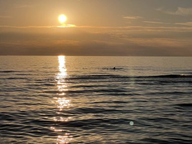 Palanga, Litvanya. Havada süzülen çift martı bulutlarının ve siluetlerinin ardında muhteşem kırmızı günbatımı. Yüksek kalite fotoğraf