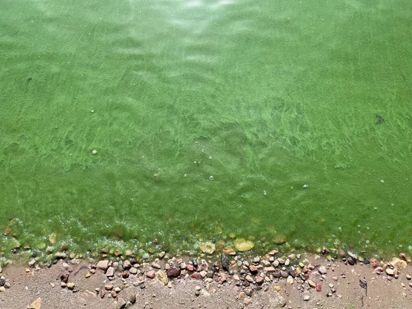Зеленая Вода Кауно Мариос Литва Высокое Качество Фото — стоковое фото