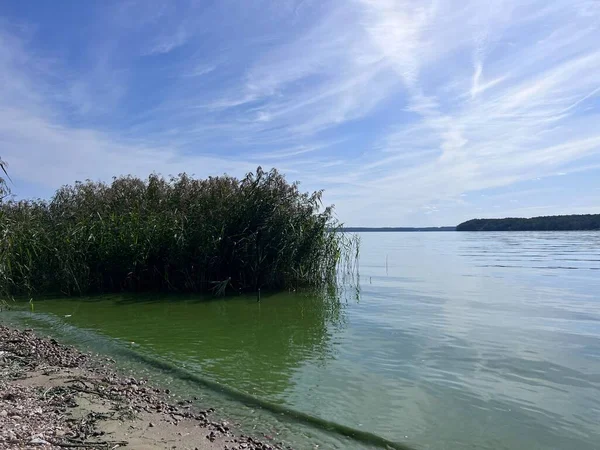 Kaunas 'taki göl manzarası. Yüksek kalite fotoğraf