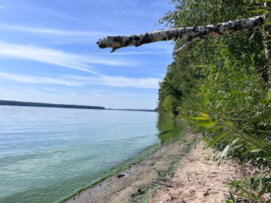 Kauno Marios 'un manzarası, Kaunas Litvanya ilkbahar yazı. Yüksek kalite fotoğraf
