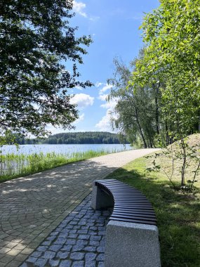 Güneşli bir gün ve yeşil ağaçların yanında yeni bir bank. Yüksek kalite fotoğraf