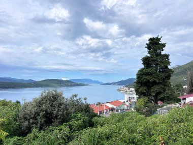 Bosna Herz 'deki Neum kasabası, deniz doğası ve bitki örtüsü. Adriyatik Denizi boyunca yürüyün ya da ağaçların altında yürüyün. Gölgede aşağı yukarı güneş ışınlarının geçmesine izin verin. Yüksek