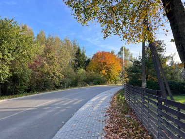 Resimli bir bölgeden geçen iki şeritli bir yol. Yolda keskin bir sağ dönüş. Yüksek kalite fotoğraf