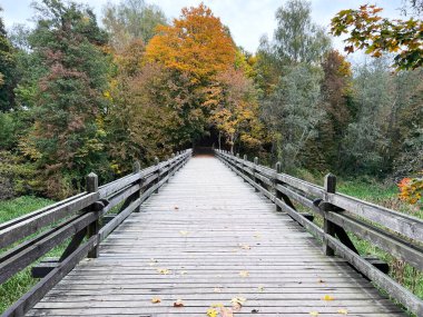 Sonbaharın sonlarında Michigan yarımadasında tahta kaldırım boyunca parlak sonbahar ağaçları. Yüksek kalite fotoğraf