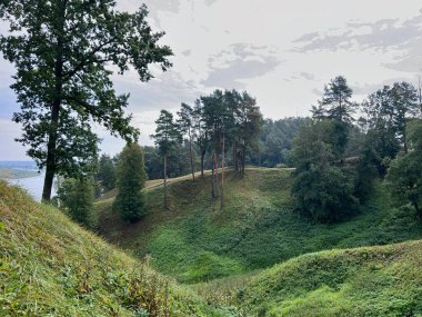 Litvanya 'daki yeşil çimenli tepe, yaz mevsimi. Yüksek kalite fotoğraf