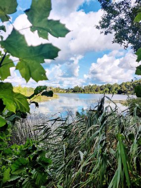Litvanya 'nın güneşli sabahında güzel bir göl. Yüksek kalite fotoğraf