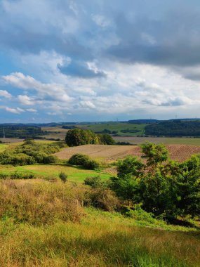 Mavi gökyüzüne karşı manzara ve bulanık yeşil yaprak yapısı Litvanya doğası. Yüksek kalite fotoğraf