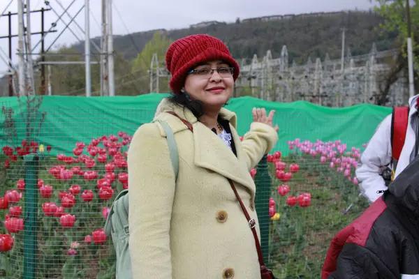 Kaşmir 'de lale çiçeği ve lale festivali. Güzel duvar montajı resmi, çiçek arkaplanı. Kashmir 'i ziyaret etmek için turist mevsimi. Festivalde lale çiçeklerinin canlı güzelliğini yakala.