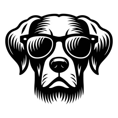 Güneş gözlüğü tasarımı olan bir köpek.