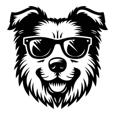 Güneş gözlüğü tasarımı olan bir köpek.