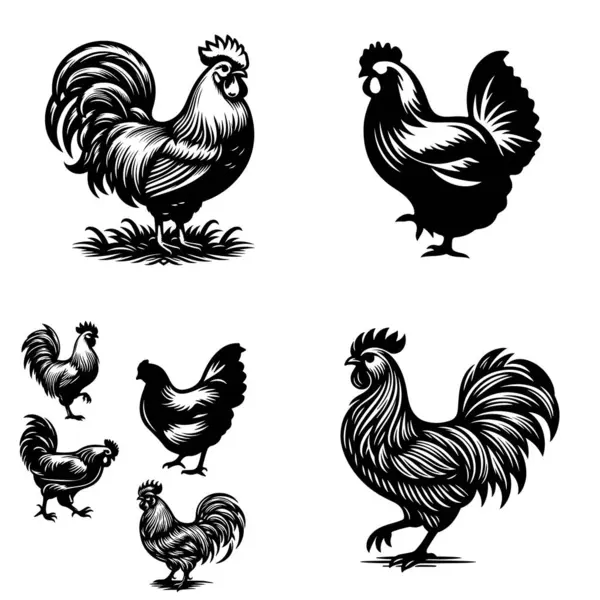 Tavuk silueti şekil vektör tasarımı