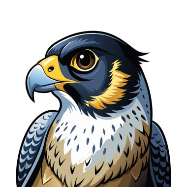 Falcon maskot vektör etiketi tasarımı