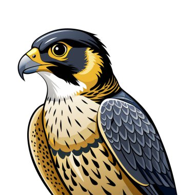 Peregrine Falcon maskot etiketi tasarımı