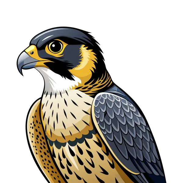 Peregrine Falcon maskot etiketi tasarımı