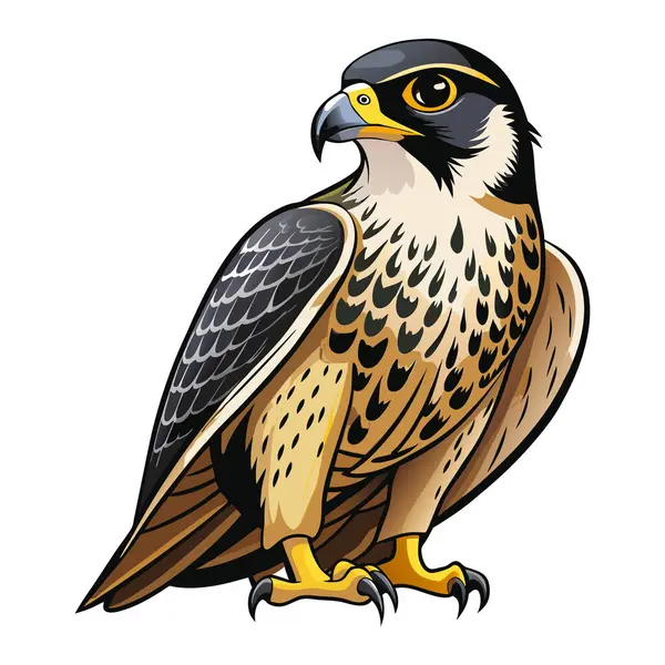 Peregrine Falcon maskot etiketi tasarımı