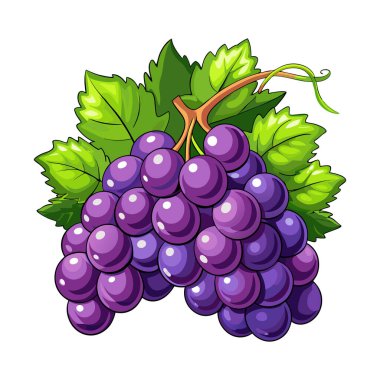 Üzüm 3d vektör etiketi tasarımı