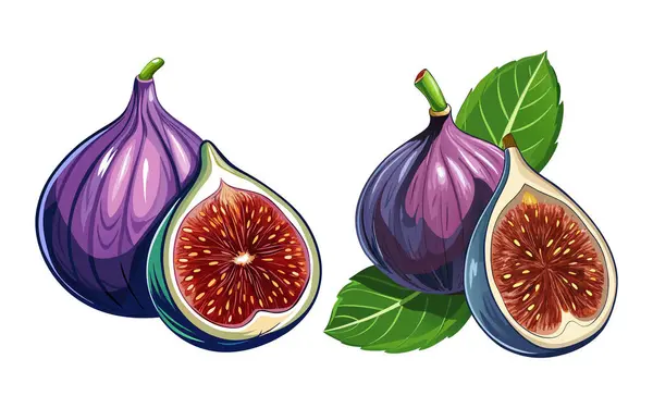 İncir dilimi 3d vektör etiketi tasarımı