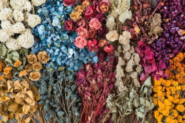 Kurumuş çiçekler en az romantik düzlükte sergilenir. Canlı renkler ve dokular sergilenir.