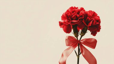 Oklu bir karanfil buketi, romantik ruh hali ve doğal ışık için mükemmel.