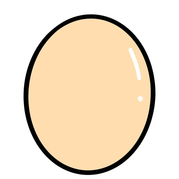 Куриные Яйца Могут Использованы Приготовления Различных Блюд — стоковое фото